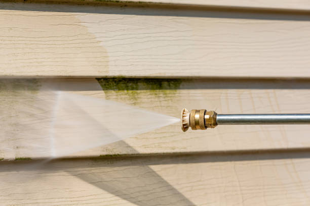 Best Pressure Washing Company Near Me  in Hackberry, TX