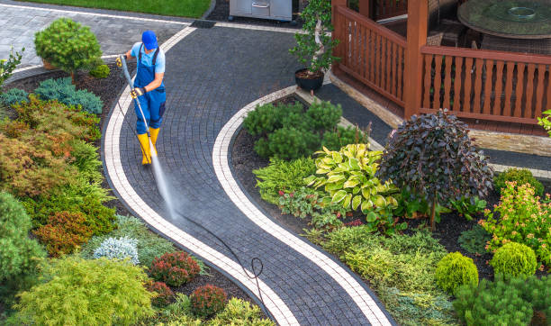 Best Affordable Pressure Washing  in Hackberry, TX